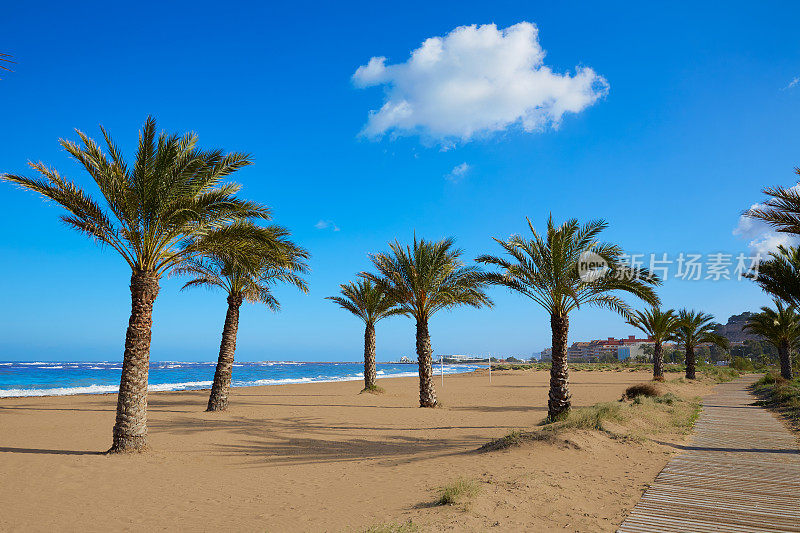 Denia海滩Las Marinas与棕榈树阿利坎特